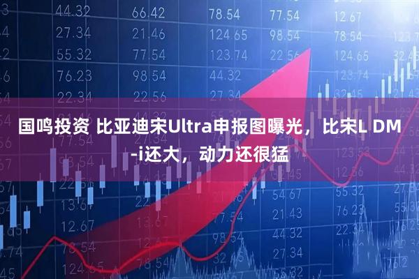 国鸣投资 比亚迪宋Ultra申报图曝光，比宋L DM-i还大，动力还很猛