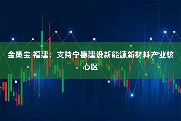 金策宝 福建：支持宁德建设新能源新材料产业核心区