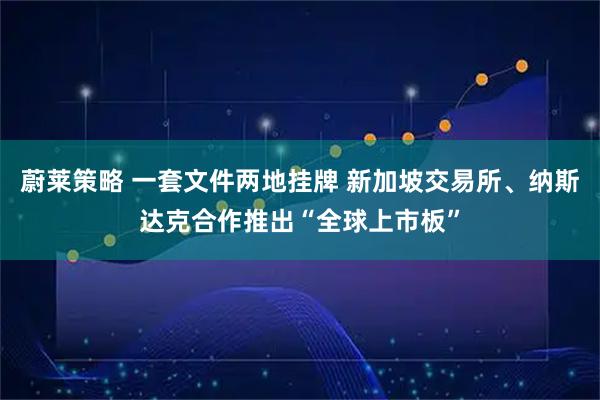 蔚莱策略 一套文件两地挂牌 新加坡交易所、纳斯达克合作推出“全球上市板”