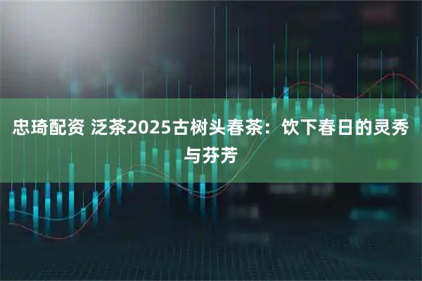 忠琦配资 泛茶2025古树头春茶：饮下春日的灵秀与芬芳